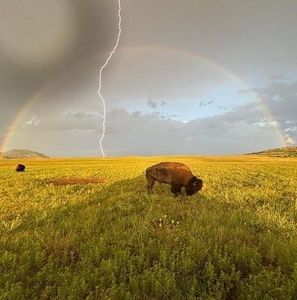 Meet your Posher, Giancarlo